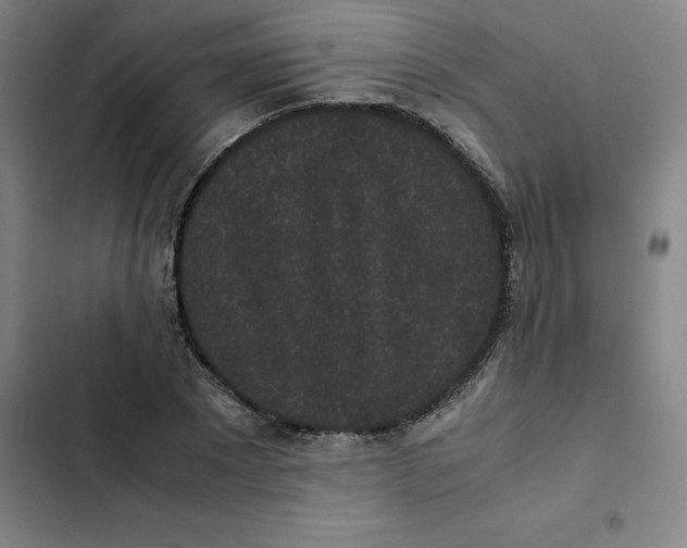 X0000102470881200808221640