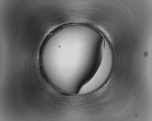 X0000102470883200808221640