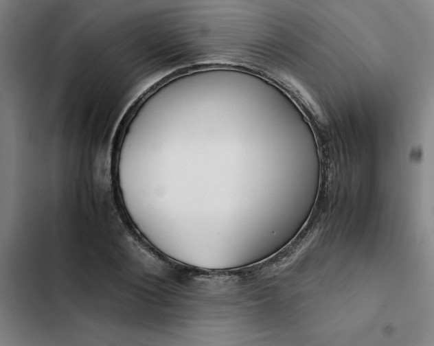 X0000102470884200808221640