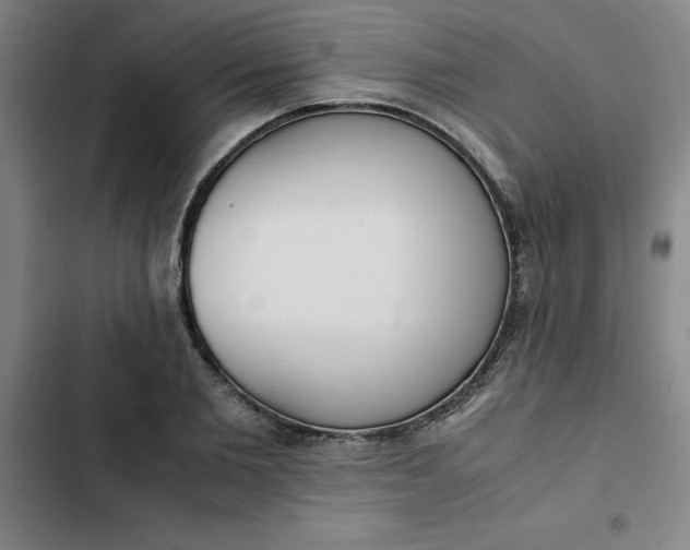 X0000102470885200808221640