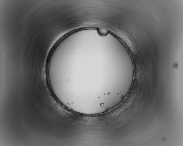 X0000102470888200808221640