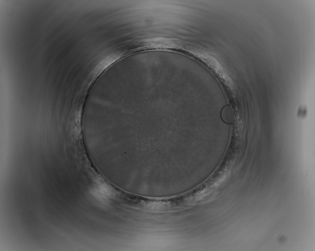 X0000102470889200808221640