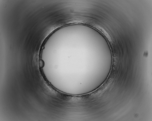 X0000102470890200808221640