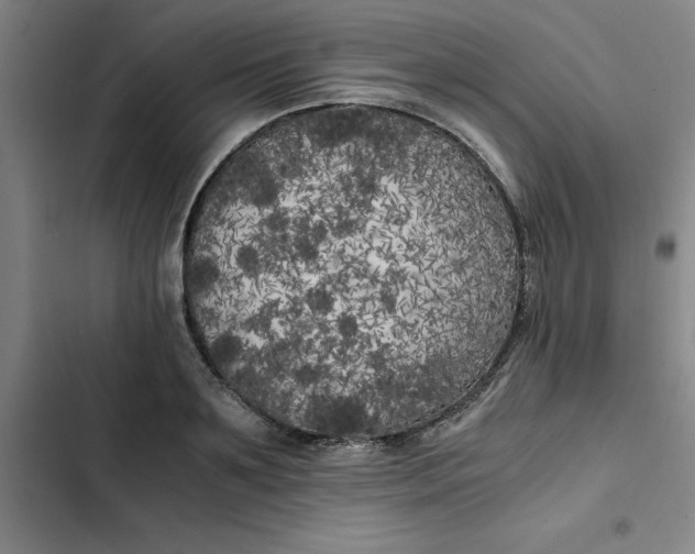 X0000102470891200808221640