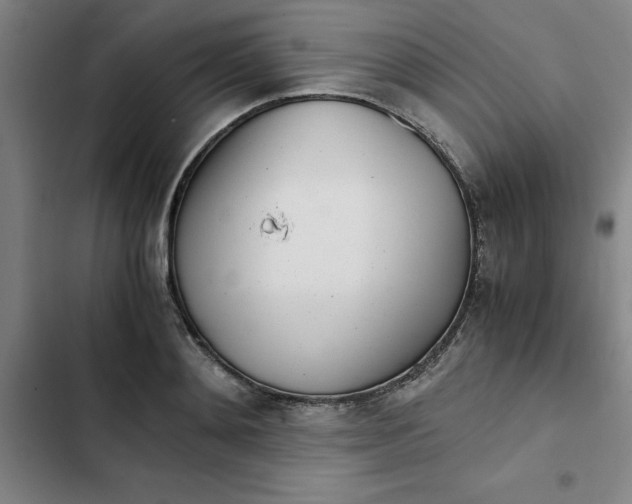 X0000102470892200808221640