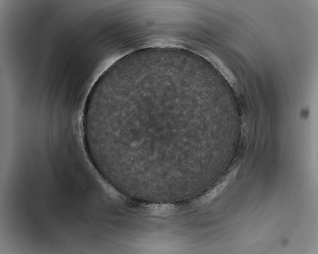 X0000102470893200808221640