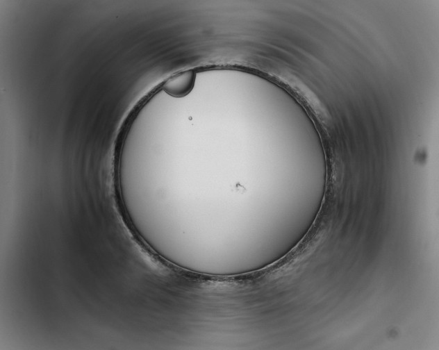 X0000102470894200808221640