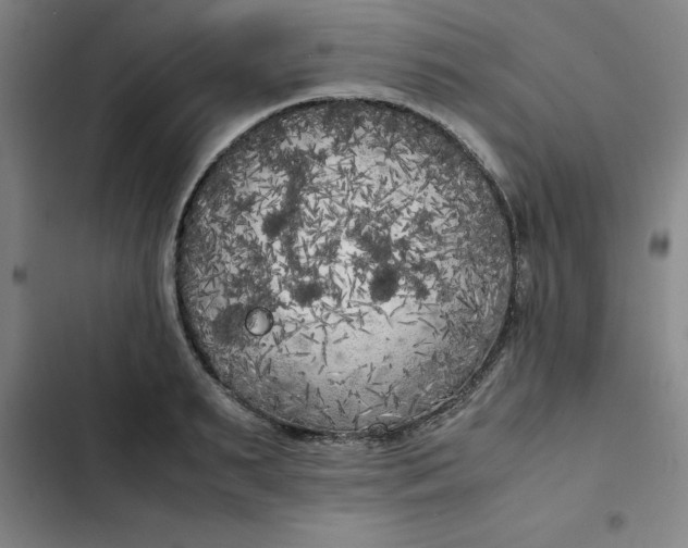 X0000102470895200808221640