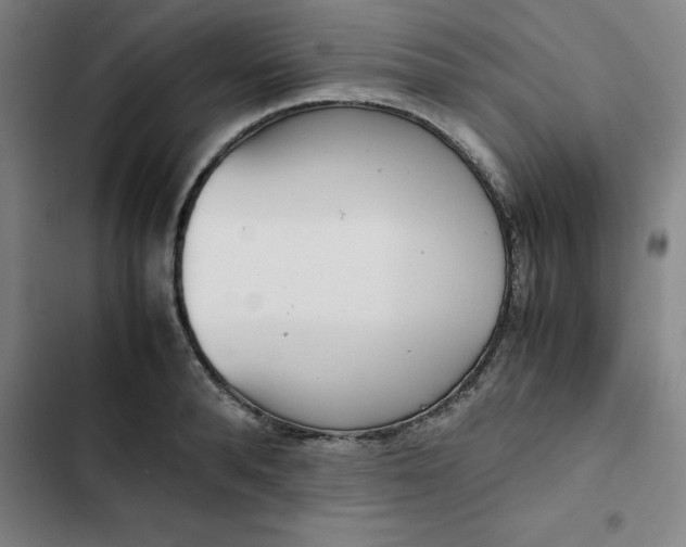 X0000102470896200808221640