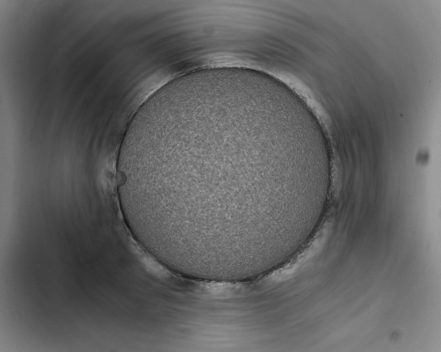 X0000102470897200808221640