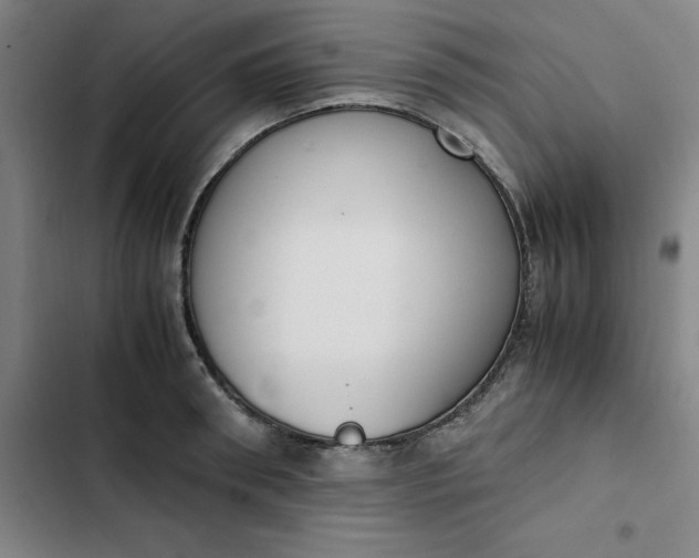 X0000102470898200808221640