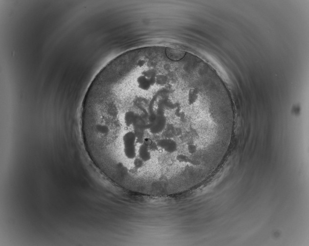 X0000102470899200808221640