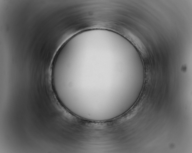 X0000102470900200808221640