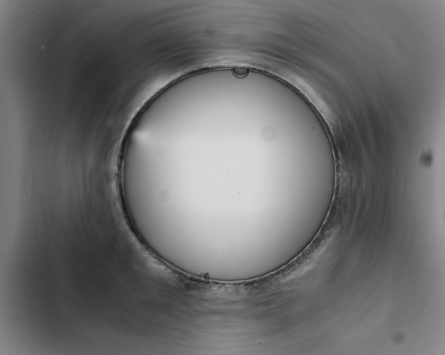 X0000102470901200808221640