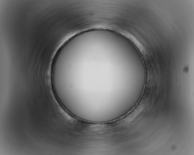 X0000102470902200808221640