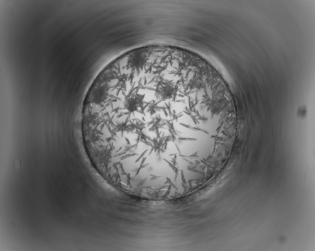 X0000102470903200808221640