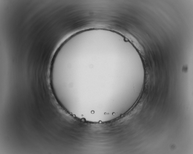 X0000102470904200808221640