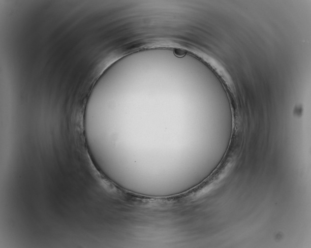 X0000102470905200808221640
