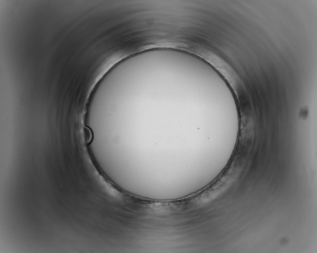 X0000102470906200808221640