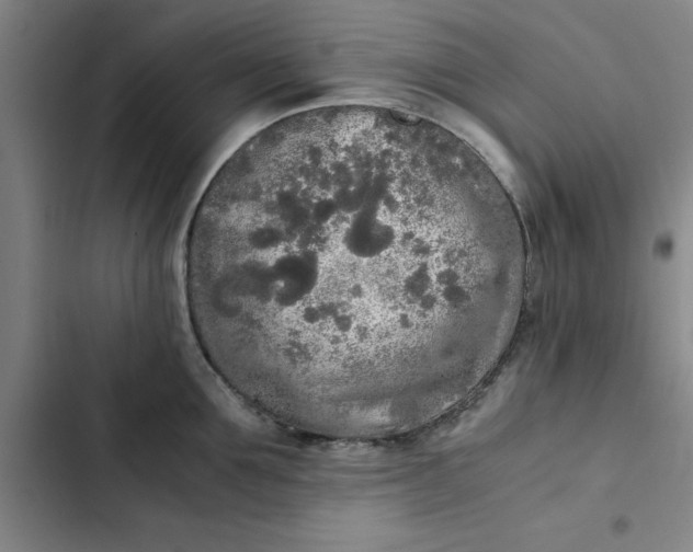 X0000102470907200808221640