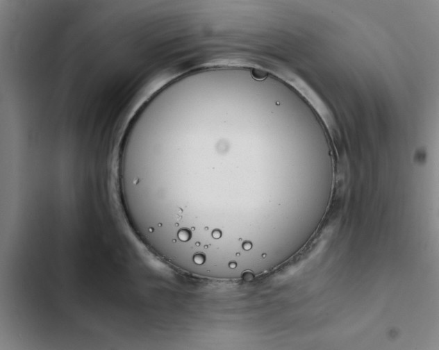 X0000102470909200808221640