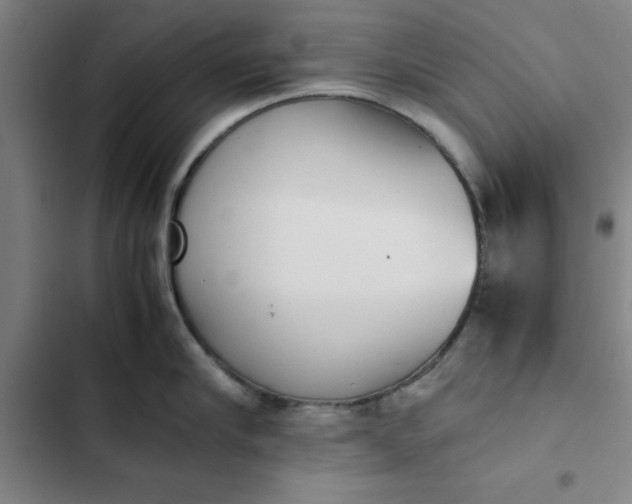 X0000102470910200808221640