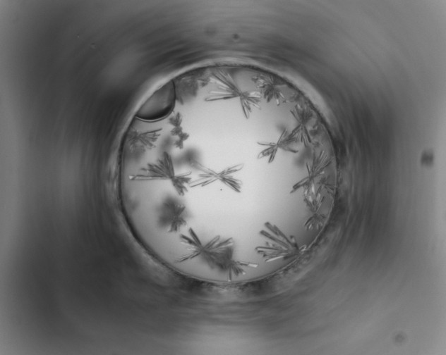 X0000102470911200808221640