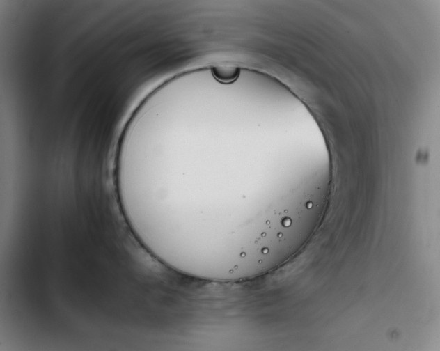 X0000102470912200808221640
