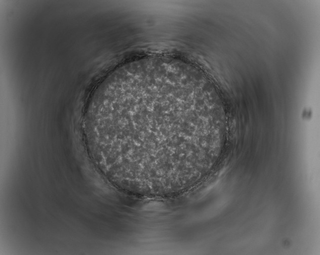 X0000102470913200808221639