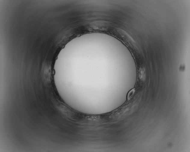 X0000102470915200808221639