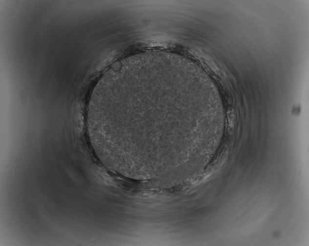 X0000102470916200808221639