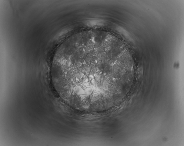 X0000102470917200808221639