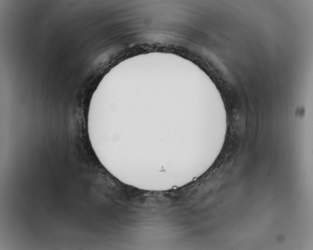 X0000102470918200808221639