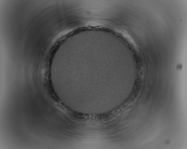 X0000102470920200808221639