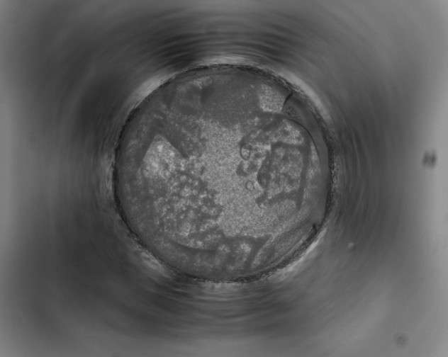 X0000102470921200808221639