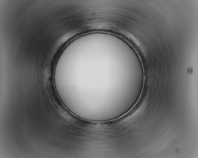 X0000102470922200808221639