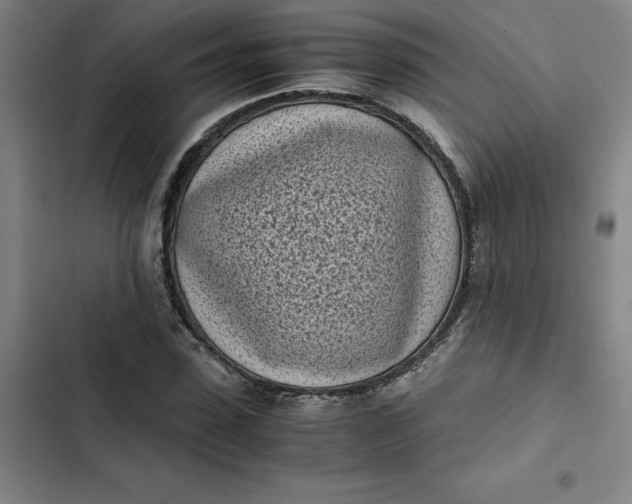 X0000102470923200808221639