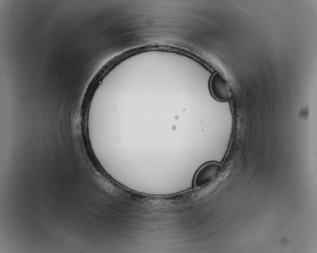 X0000102470924200808221639