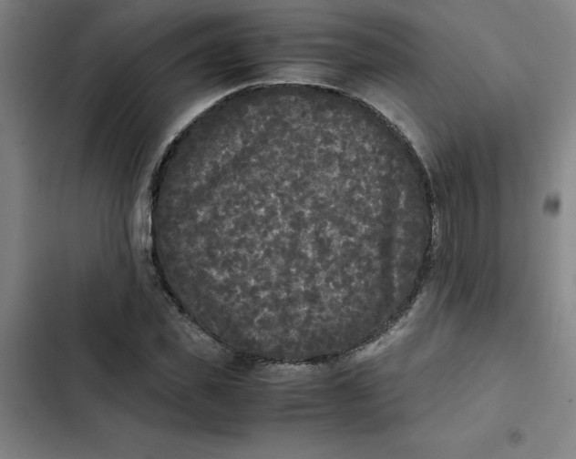 X0000102470925200808221639