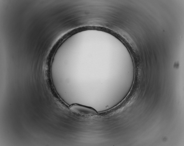 X0000102470926200808221639