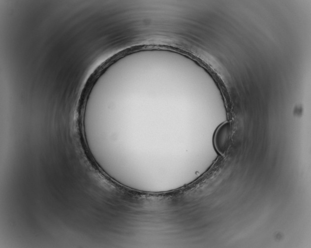 X0000102470928200808221639