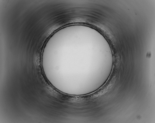 X0000102470929200808221639