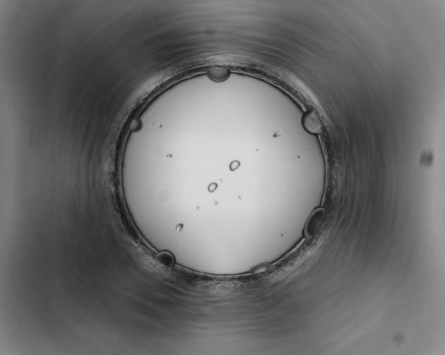 X0000102470930200808221639