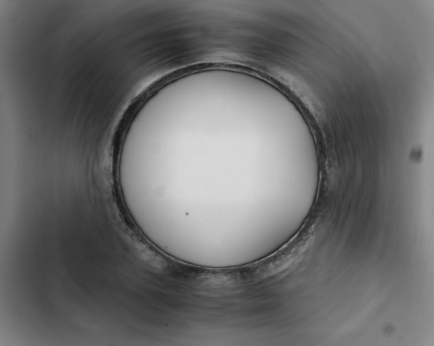 X0000102470931200808221639