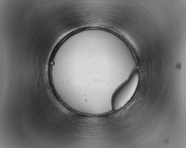 X0000102470932200808221639