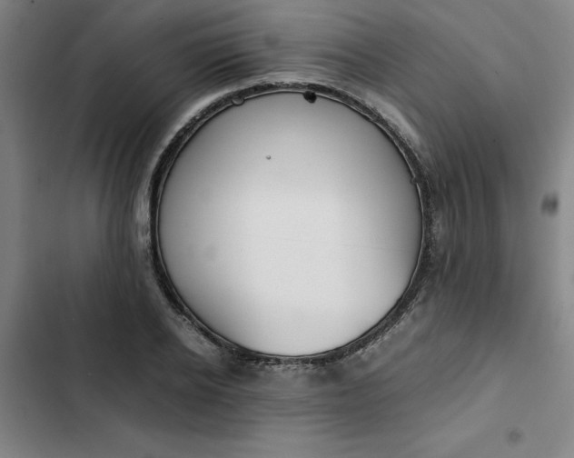 X0000102470934200808221639
