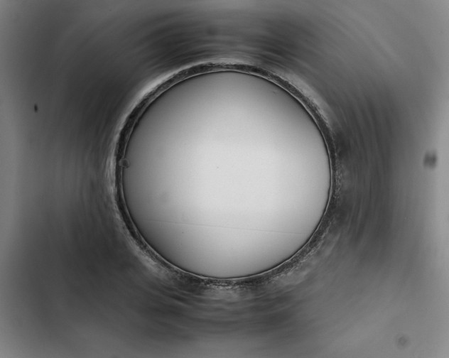 X0000102470935200808221639