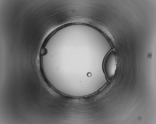 X0000102470936200808221639