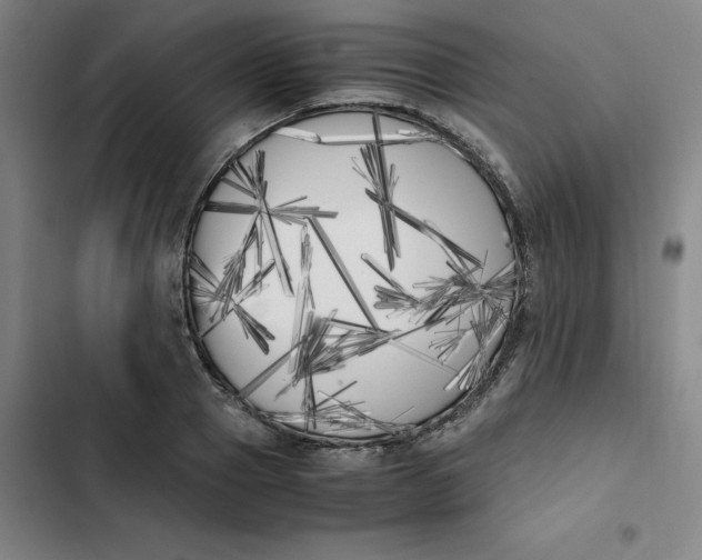 X0000102470937200808221639