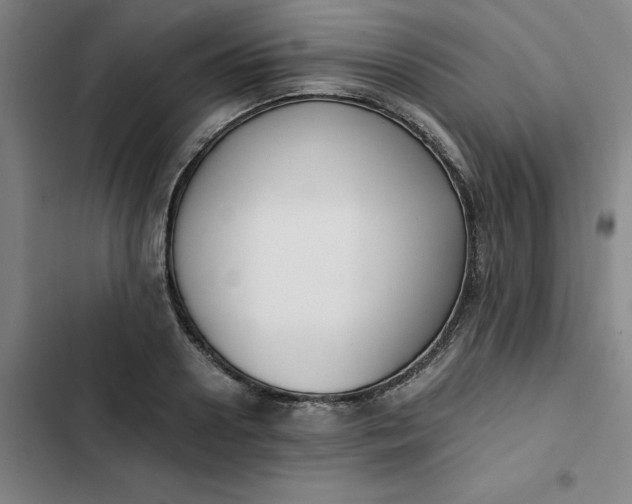 X0000102470938200808221639